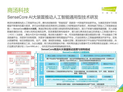 2021年中國人工智能基礎層行業(yè)報告 人工智能基礎軟件開發(fā)